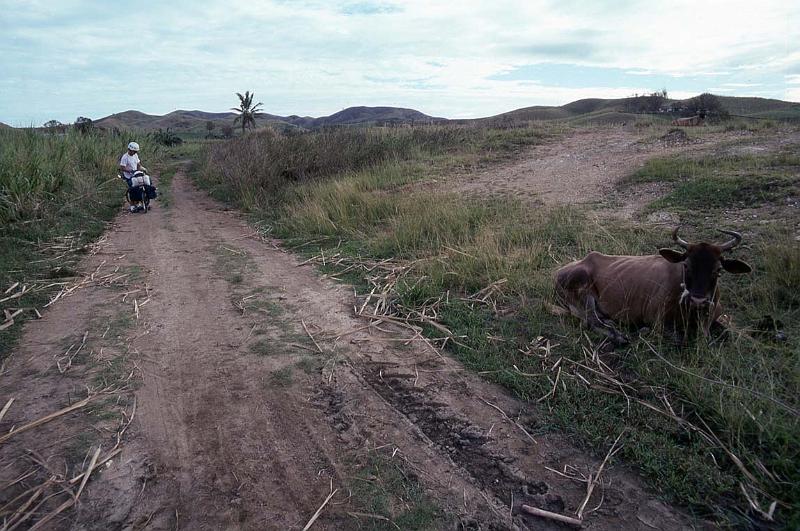 RWT 0017 005-13 Fiji.jpg
